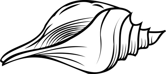 Line art shell illustration. Contour illustration with black thin line