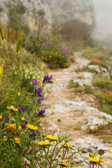 Obraz premium Tracking trail to old cave city Matera Italy in the meadow of Murgia Materana natural park in Basilicata Italy