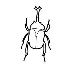 insect animal hand drawn doodle