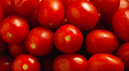 Lots of fresh ripe tomatoes with drops of dew. Close-up background