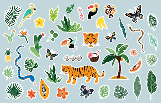 Summer tropical stickers collection, different  exotic elements, vector design