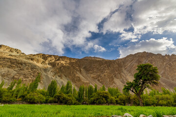 Turtuk a beautiful small village,Leh,Ladakh,northern India,