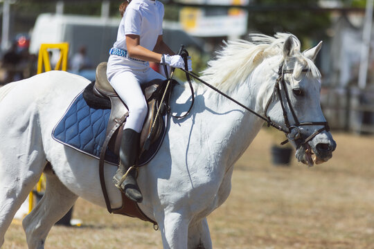 Equestrian sport - a little girl in white uniform riding white horse at the ranch