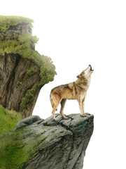 A wild nature scenery with a howling wolf on a cliff hand drawn in watercolor. Watercolor illustration.	