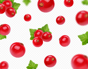 Realistic red currant berry with green leaf falling on transparent background. Red currant berry in motion. Vector 3d illustration.