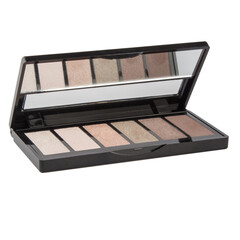 Eyeshadow palette, in a black case isolated on a white background.