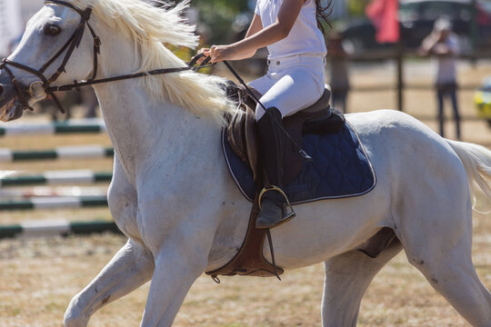 Equestrian sport - a little girl in uniform riding white horse at the ranch