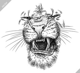 Vintage engraving isolated lion king set illustration ink sketch. Africa wild cat background animal silhouette art. Black and white hand drawn image