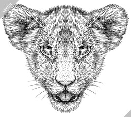 Vintage engraving isolated lion king set illustration ink sketch. Africa wild cat background animal silhouette art. Black and white hand drawn image