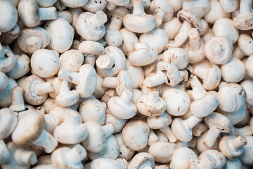 background a lot of mushrooms and champignons on grocery vegetable market