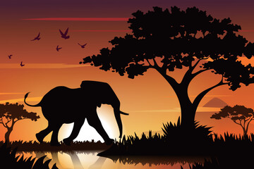 Fototapeta na wymiar An elephant in the sunset with a sunset background