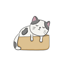 A cat sleeping in a cardboard box