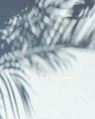 Blurred shadow of tropical palm leaves on gray wall background. Summer concept.