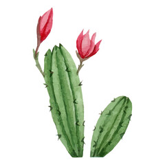 Cactus Clip art Element Transparent Background