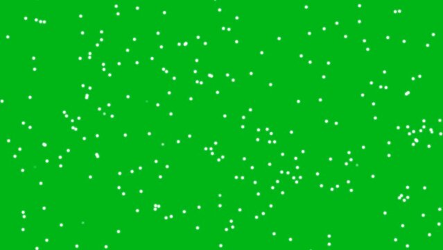 Moving white particles motion graphic effects on green screen background. 