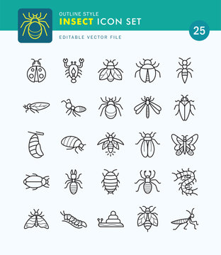 Set of Insect Icon Outline Style. Beetles, Butterflies, Bees, Snails.