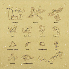 Vector constellation collection linocut style UrsaMajor Cygnus Aquila Lepus CanisMinor Equuleus Delphinus TriangulumAustrale Lyra Corona Australis Crux Columba PiscisAustrinus Hydra © Andrew