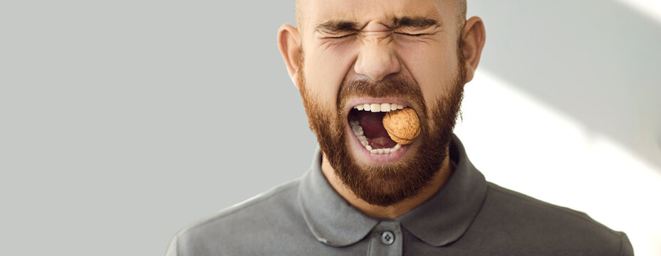 Studio head shot of young man with strong and sturdy teeth trying to crack walnut. Close up of Caucasian man with closed eyes with all his might bites nut with shell. Concept of stamotology. Banner.