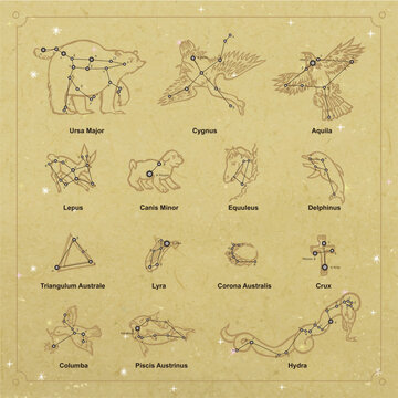 Vector constellation collection linocut style UrsaMajor Cygnus Aquila Lepus CanisMinor Equuleus Delphinus TriangulumAustrale Lyra Corona Australis Crux Columba PiscisAustrinus Hydra