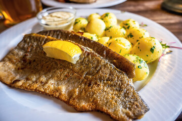 Golden fried zander fish with potato and tartar sauce.