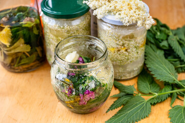 Preparation of syrup and lemonade from elder flower in bottle.