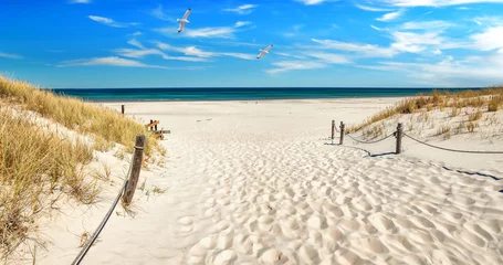 Fotobehang Duinen Panoramic view of a dune beach on the Baltic Sea  © Lichtwolke99