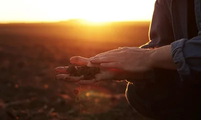 Fotobehang Male farmer's hand holds a handful of dry ground and checks soil fertility and quality before sowing crops on plowed field at sunset. Cultivated land. Concept of organic agriculture and agribusiness © Andriy Medvediuk