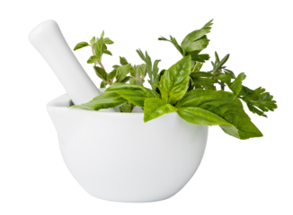 mortar with herbs isolated