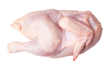 Pieces of raw chicken meat on transparent background. png file © Gresei