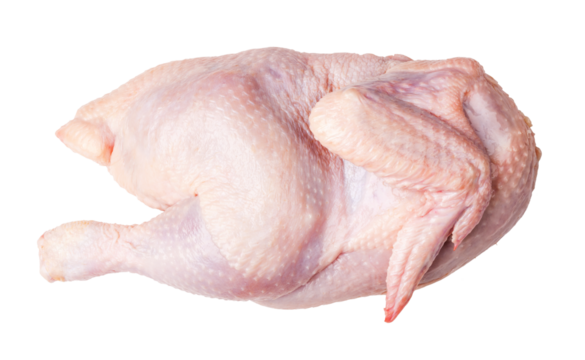 Pieces of raw chicken meat on transparent background. png file