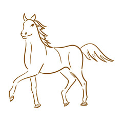 horse illustration pose