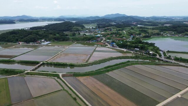 모내기철을 맞이한 바둑판 모양의 논에 물을 대고 흙을 갈아엎는 농기계