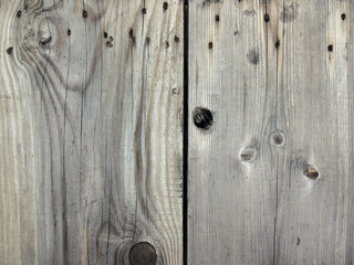 Obraz premium Wooden Planks