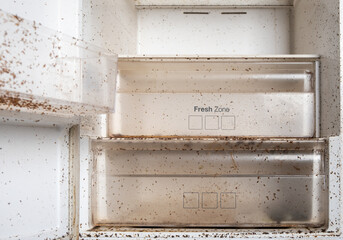 Dirty refrigerator, empty. Concept of cleaning service and household. Boxes for vegetables, fruits...