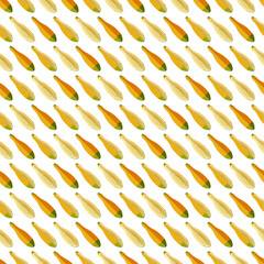 Seamless pattern with Zephyr Squash. Summer squash. Fruit and vegetables. Flat style. Vector illustration isolated on transparent background.