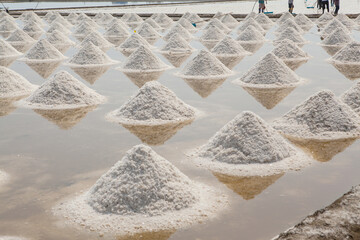 Salt pile in salt field under sunlight in Thailand