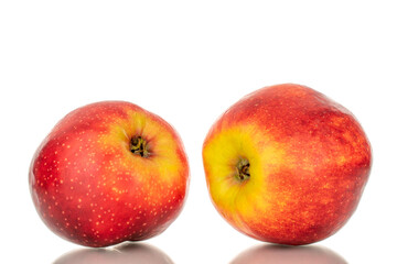 Two red apples, macro, isolated on white background.