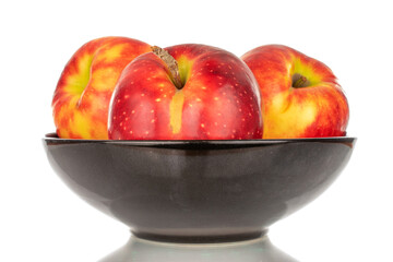 Three red apples in a black ceramic plate, macro, isolated on white background.