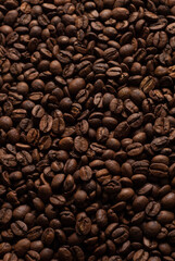 Cafeína