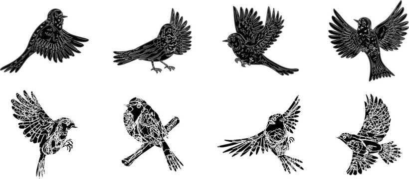 silhouettes set of eagle bird