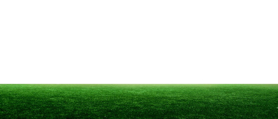 green soccer field isolated