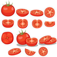 Fresh red tomatoes. Different type of vegetable cutting. EPS10 vector illustration.