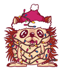 Hedgehog Santa Claus Christmas Lights Cute