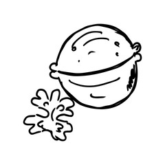 Vector hand drawn doodle illustration of a nut.