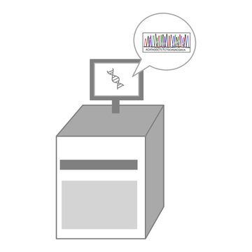 The next generation sequencing machine for sequence analyzing of target nucleotide sample.