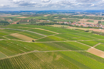Bird's-eye view of the vineyards near Flonheim/Germany in Rheinhessen
