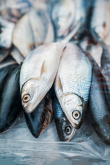 Fresh fish on ice. Sale of fresh frozen fish. Open showcases of seafood market. Fish store
