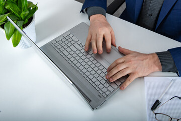 Gray Laptop Green Plant Man Hands on Keyboard