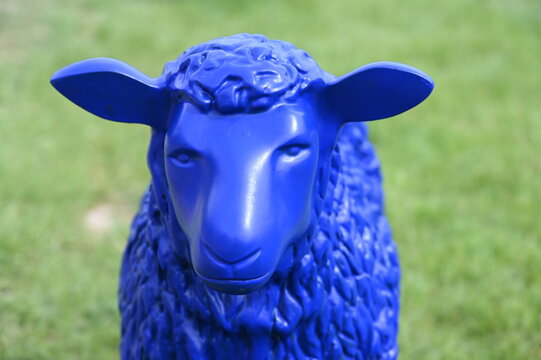 Blaues Plastikschaf auf gr&uuml;ner Wiese