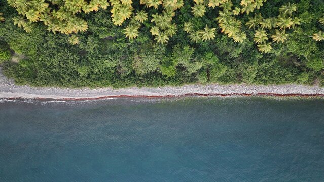 Vieux Habitants Guadeloupe